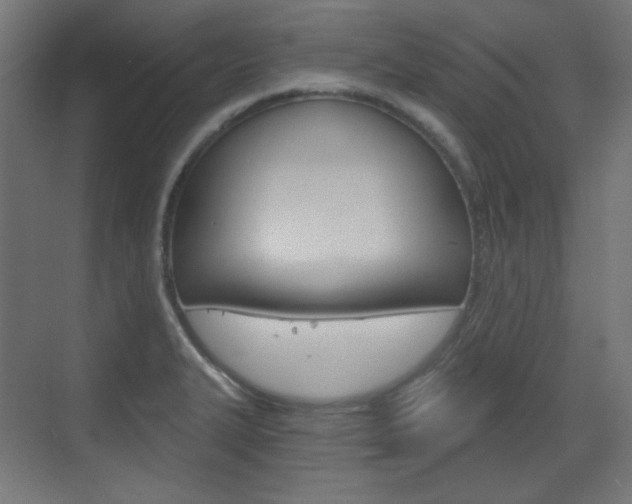 X0000073391327200607280859