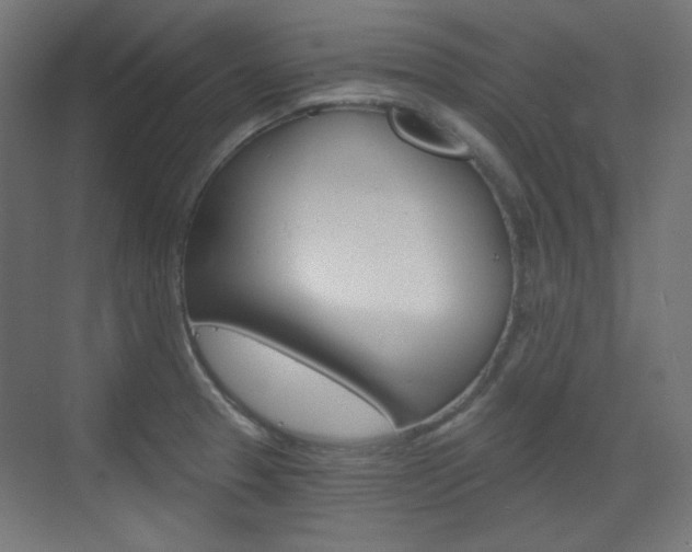 X0000073391329200607280859