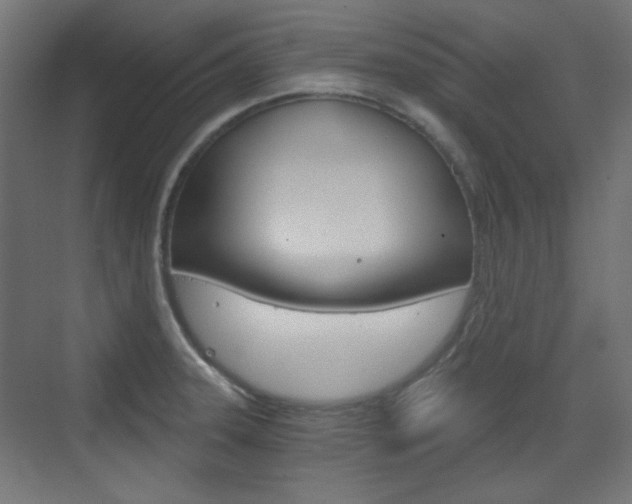 X0000073391331200607280859