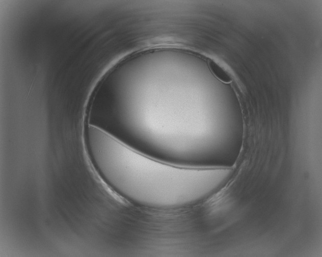 X0000073391333200607280859
