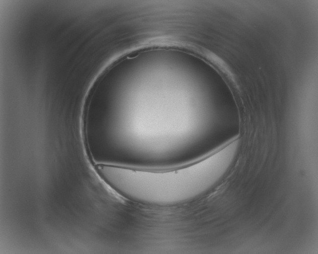 X0000073391334200607280859