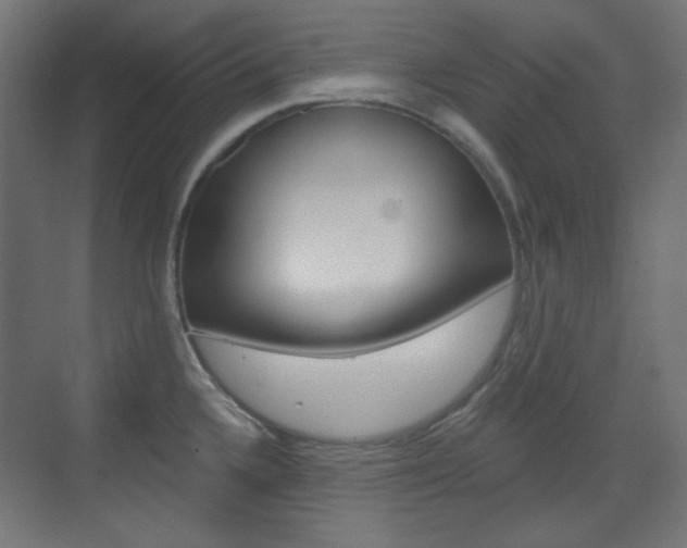 X0000073391336200607280859