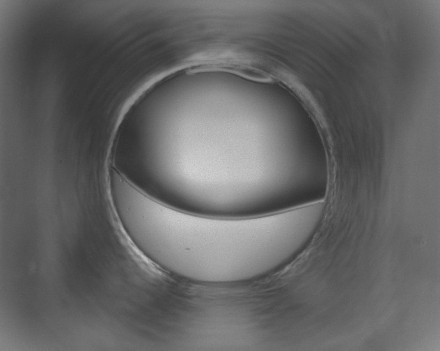X0000073391344200607280859