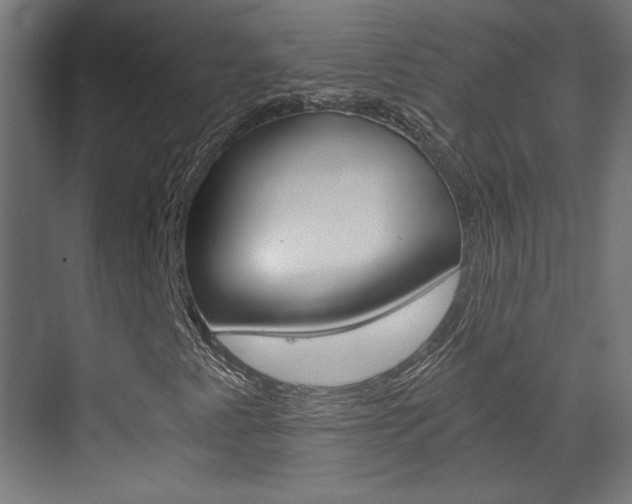 X0000073391345200607280858