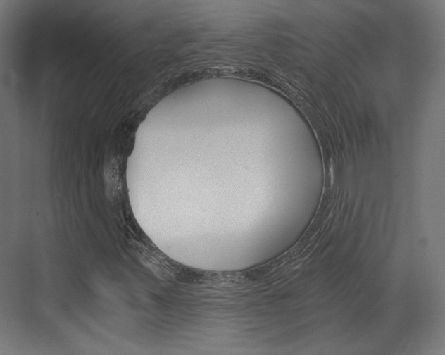 X0000073391347200607280858