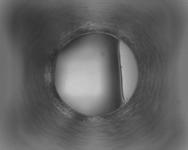 X0000073391348200607280858