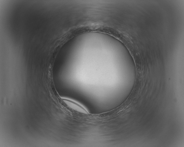 X0000073391349200607280858