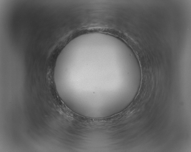 X0000073391351200607280858
