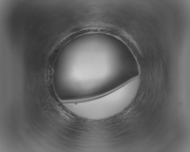 X0000073391352200607280858