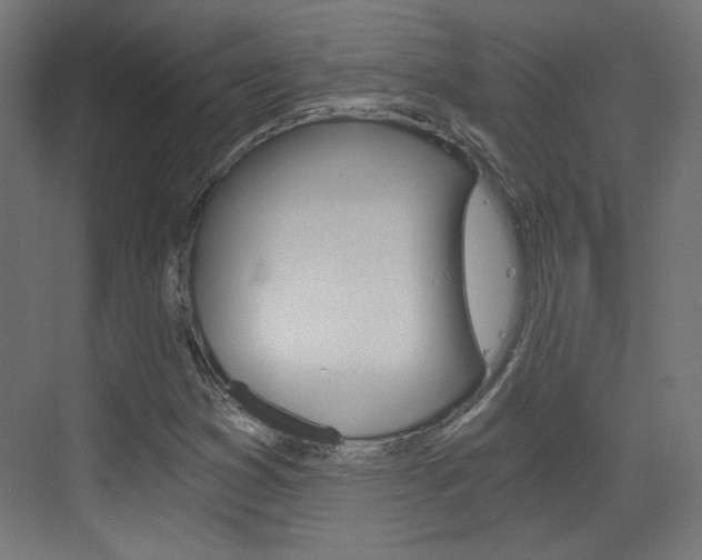 X0000073391353200607280858