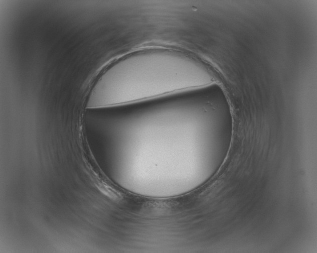 X0000073391355200607280858