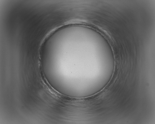 X0000073391363200607280858