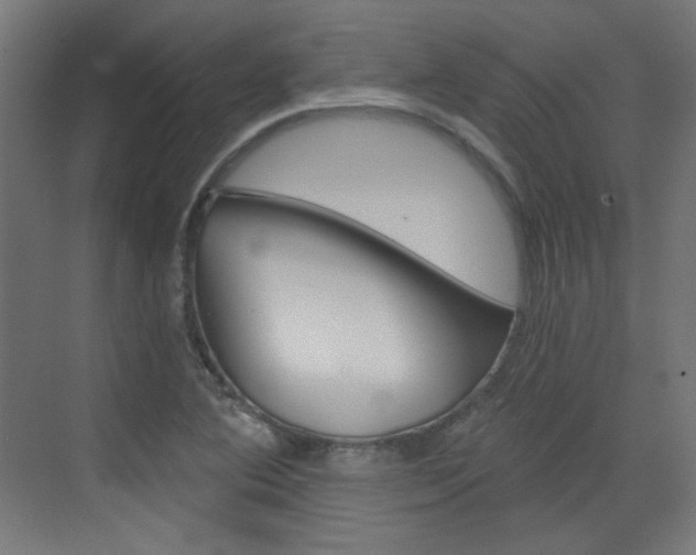 X0000073391364200607280858