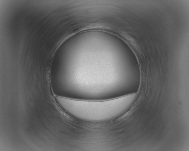 X0000073391369200607280858