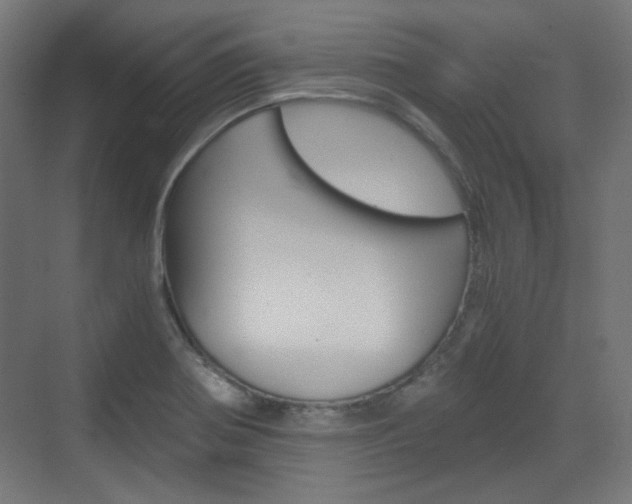 X0000073391370200607280858