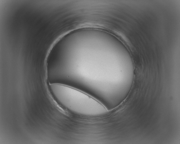 X0000073391371200607280858
