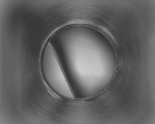 X0000073391372200607280858
