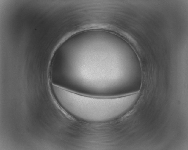 X0000073391373200607280858