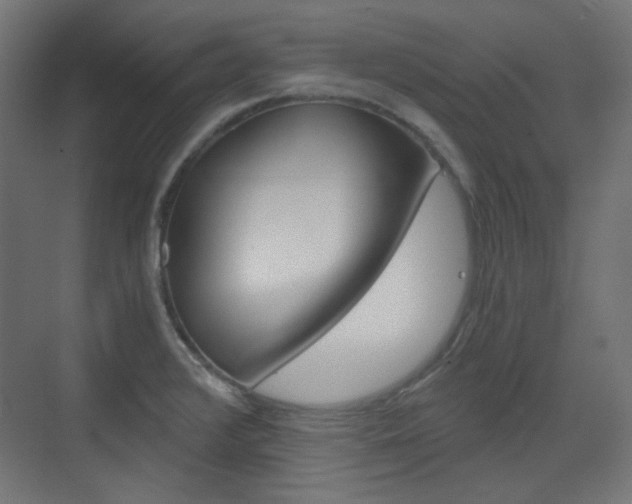 X0000073391376200607280858
