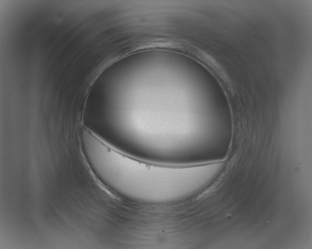 X0000073391377200607280858