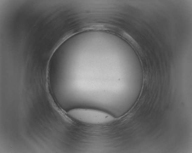 X0000073391378200607280858