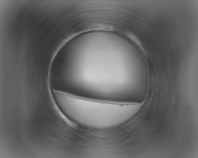 X0000073391379200607280858