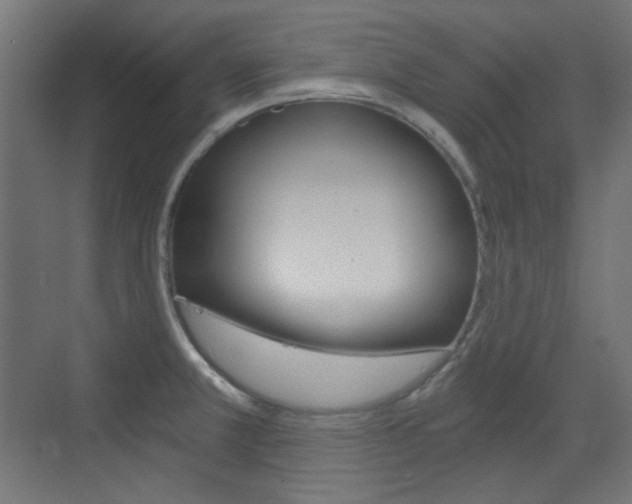X0000073391381200607280858