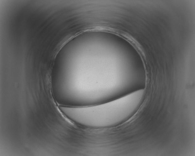 X0000073391385200607280858