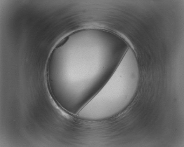 X0000073391387200607280858