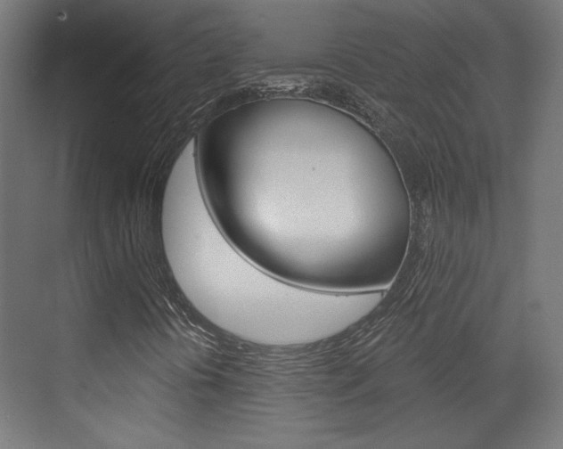X0000073391394200607280857