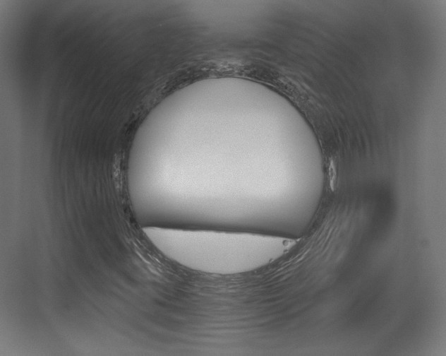 X0000073391395200607280857