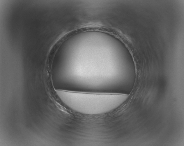 X0000073391400200607280857