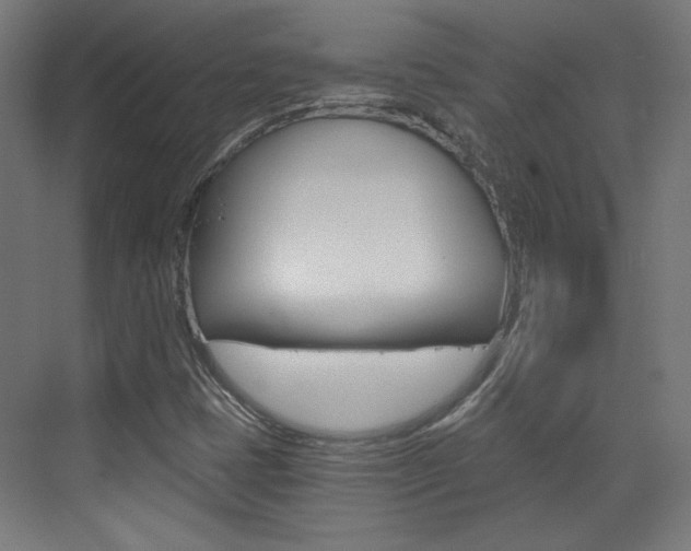 X0000073391401200607280857