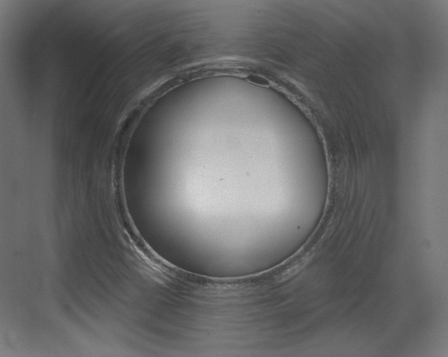 X0000073391402200607280857