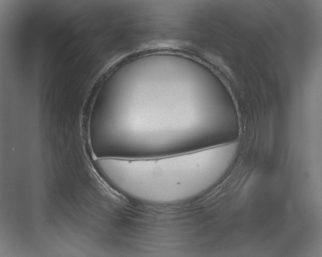 X0000073391404200607280857