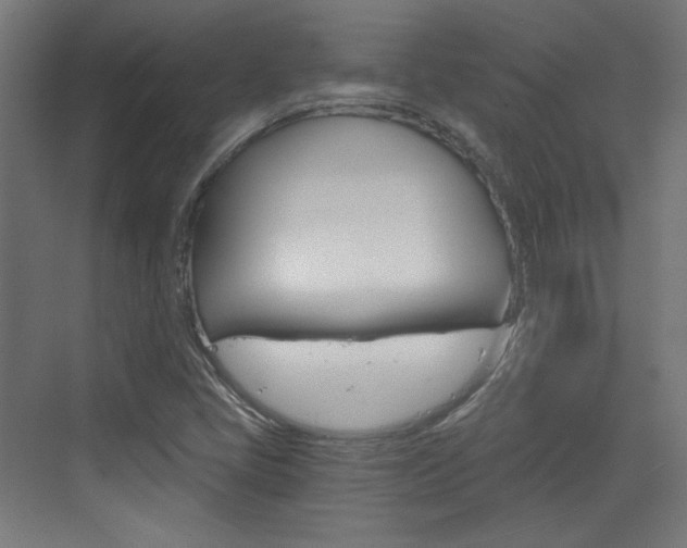 X0000073391405200607280857