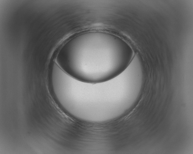 X0000073391410200607280857