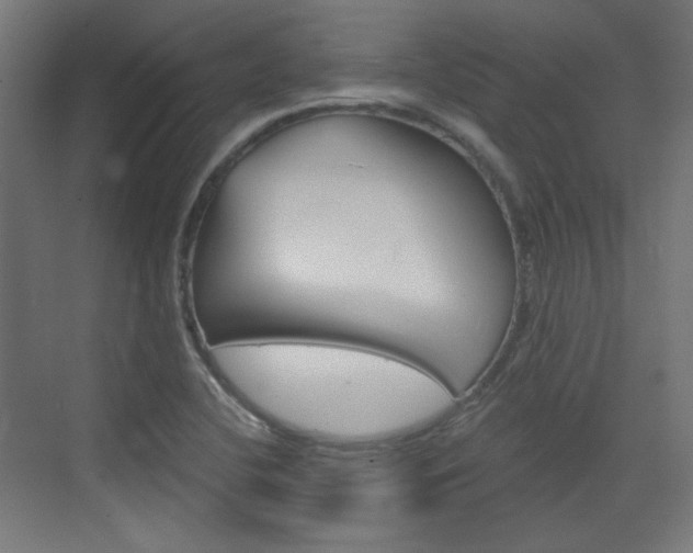 X0000073391412200607280857