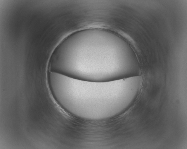 X0000073391423200607280857