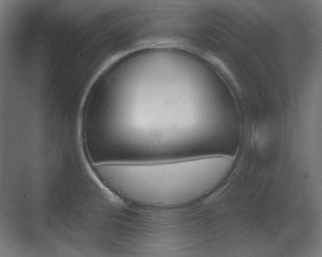 X0000073391424200607280857