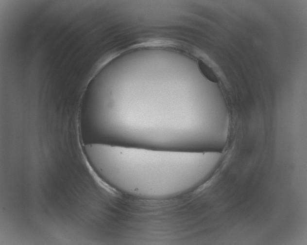X0000073391425200607280857