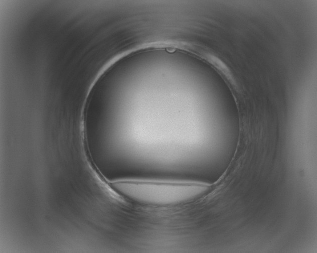 X0000073391428200607280857