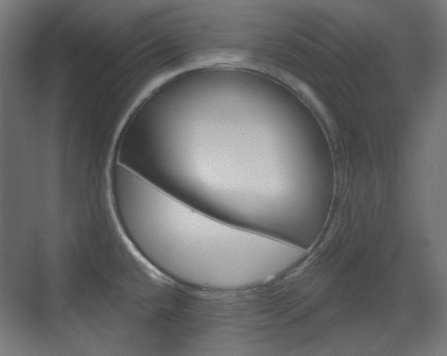 X0000073391432200607280857