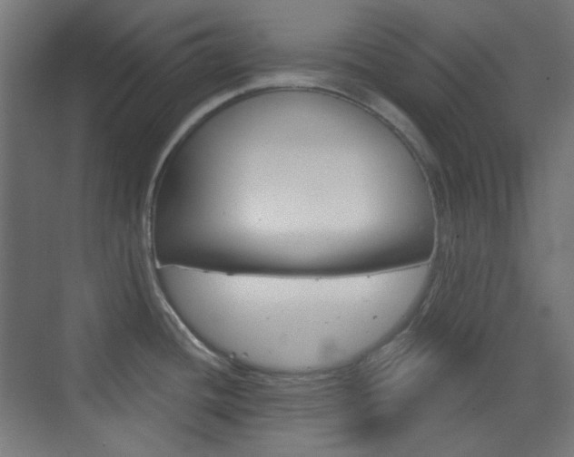 X0000073391436200607280857