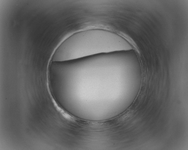 X0000073391439200607280858