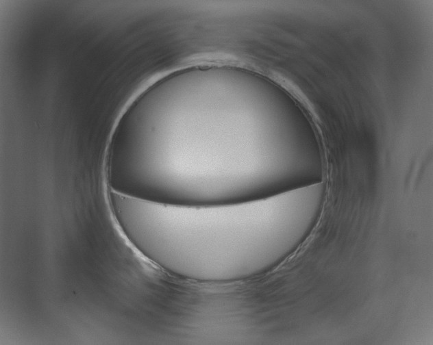 X0000073391440200607280858