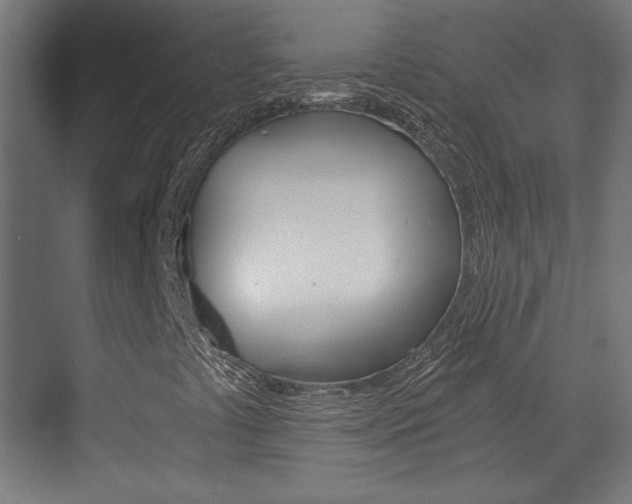 X0000073391441200607280857
