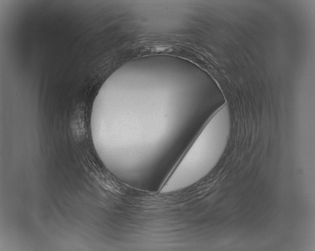 X0000073391442200607280857