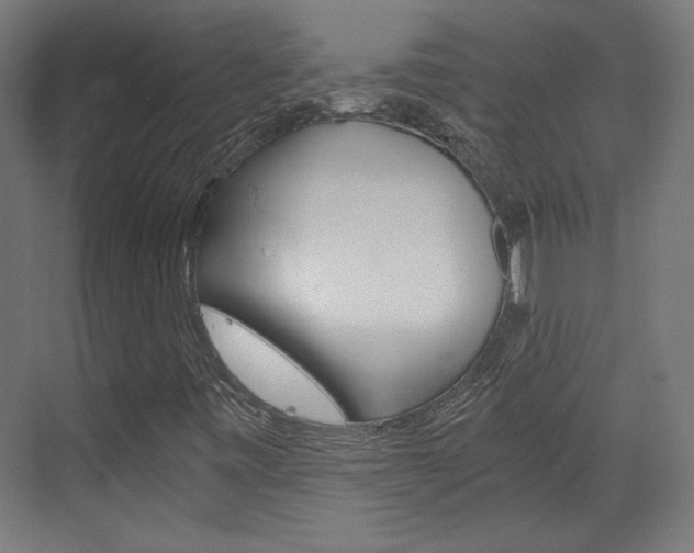 X0000073391443200607280857