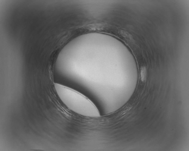 X0000073391444200607280857